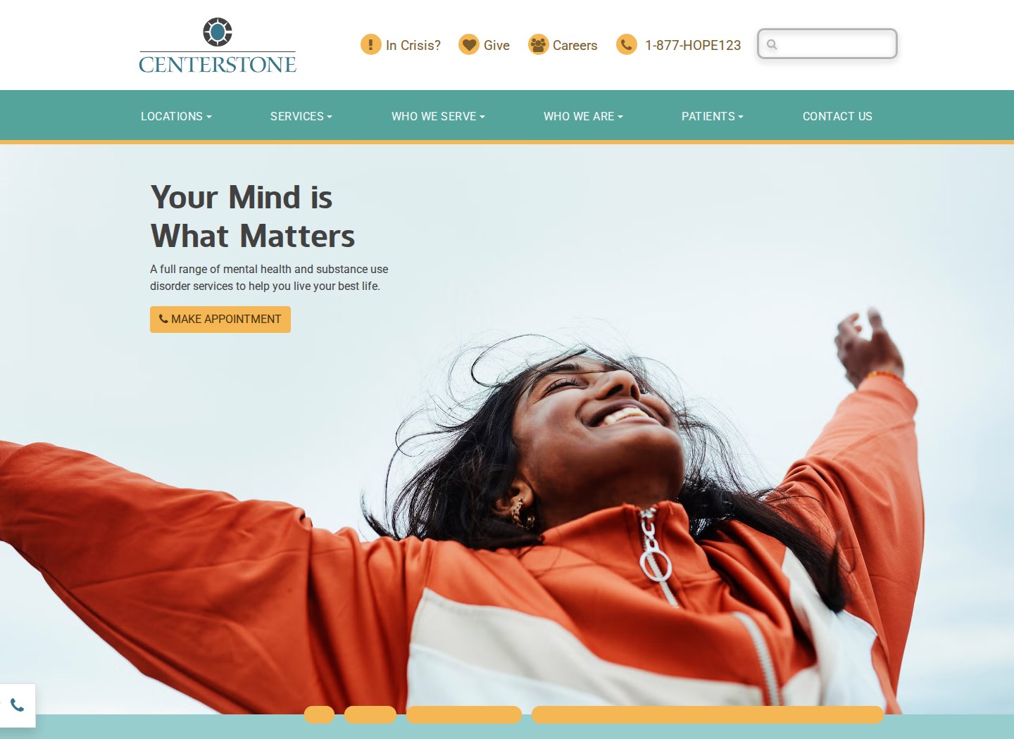 Centerstone website
